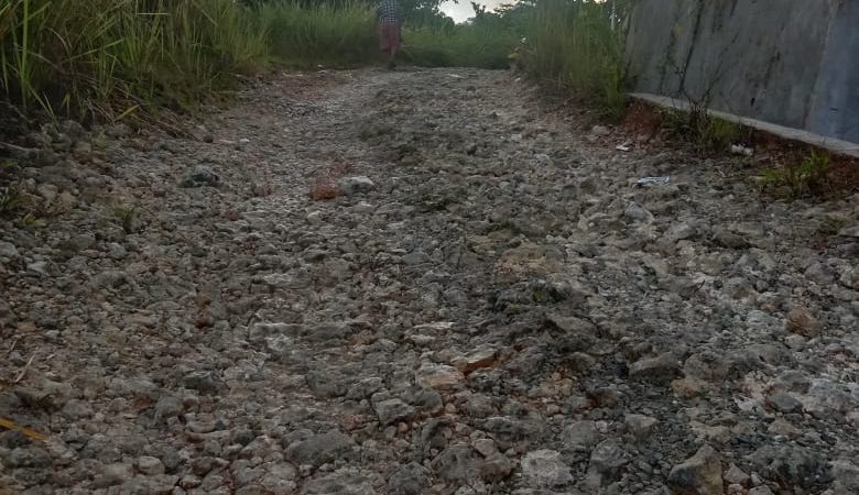 Jalan Rusak Nyawa Terancam, Masyarakat Desa Siwalubanua I Harap Perhatian Pemerintah
