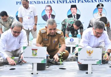 Bersama Pj. Bupati Kampar, Deputi Kementerian Perekonomian Resmikan GNPIP Riau di Pulau Birandang