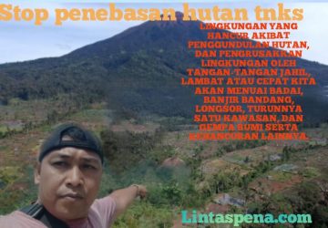 Perusakan Hutan di TNKS Kab Kerinci dan Sungai Penuh, Semakin Tidak Terbendung