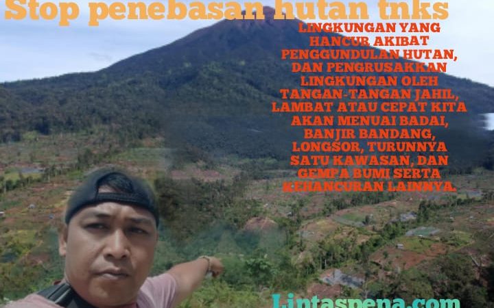 Perusakan Hutan di TNKS Kab Kerinci dan Sungai Penuh, Semakin Tidak Terbendung