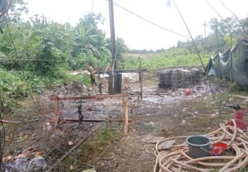 Sumur Minyak Ilegal Block Out Minyak Muncrat Penuhi Lahan Warga Di Wilayah Polsek Keluang Muba