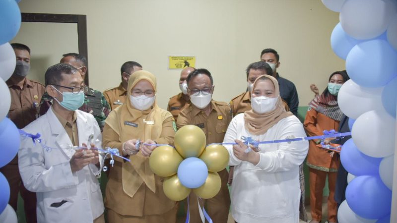 Bupati Kasmarni Resmikan Pemakaian CT Scan RSUD Mandau