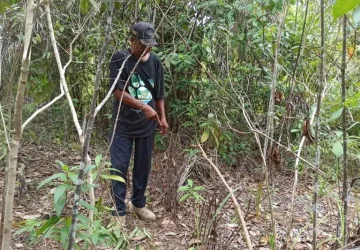 Tim gabungan gelar operasi sapu jerat satwa di Siak