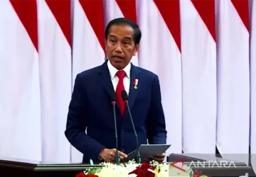 Pakar: Pidato Jokowi menguatkan komitmen P20 atasi persoalan global