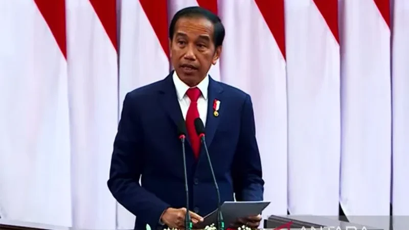 Pakar: Pidato Jokowi menguatkan komitmen P20 atasi persoalan global
