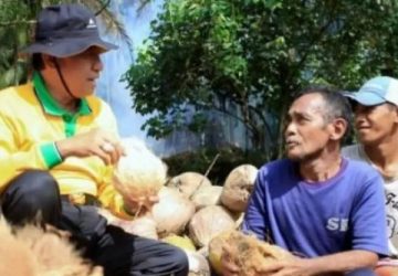 Dua Periode Bupati Wardan Konsisten Kembangkan Sektor Perkebunan Kelapa, Buka Arus Investasi dan Tekan Inflasi