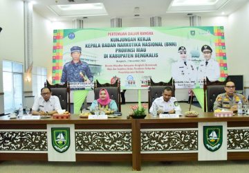 Bupati dan Wakil Bupati Bengkalis Terima Kunker Kepala BNNP Riau
