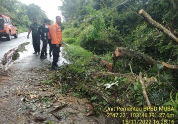 Dampak Cuaca Ekstrim BPBD Muba Evakuasi Pohon Tumbang