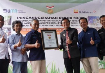 PTBA Rekor Muri Paguyuban Krajan Berdayakan 1.127 Lansia Produksi Tusuk Sate