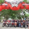 Kabupaten Lampung Selatan Perkenalkan Potensi Wisata Melalui One Day Adventure
