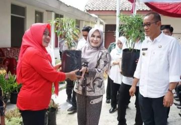 Ketua TP PKK Lamsel Serahkan Bibit Cabai di Kecamatan Palas dan Sragi