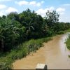 Sungai Sepanjang Desa Kudu, Tidak ada Perhatian dari Pemerintah Sampai Jalan Tanggul Pada Longsor dan Rusak Parah