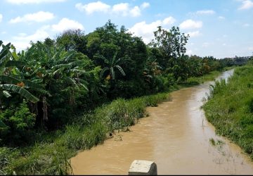 Sungai Sepanjang Desa Kudu, Tidak ada Perhatian dari Pemerintah Sampai Jalan Tanggul Pada Longsor dan Rusak Parah