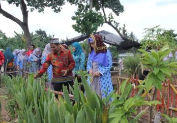 Ketua TP PKK Pesisir Barat Kunjungi Sekretariat Swasembada Gizi Lampung Selatan