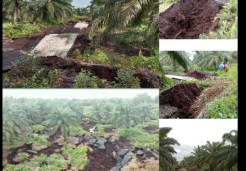 Kodim 0303 Bersama BPBD Tinjau Lokasi Longsor di Pantai Simpang Ayam