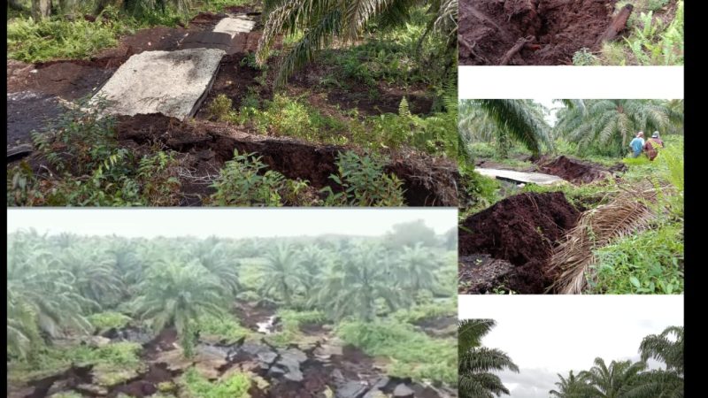 Kodim 0303 Bersama BPBD Tinjau Lokasi Longsor di Pantai Simpang Ayam