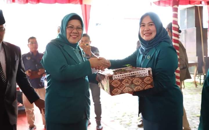 Gelora GSMP di Muba, 15 Ribu Bibit Cabai Tertanam Selama Satu Bulan
