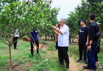 Tinjau Wisata Baru Kuntu, Kamsol: Kampar Miliki Padang Pantai Yang Indah dan Asri