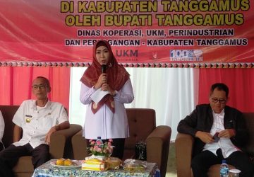 Bupati Tanggamus Serahkan Bantuan 12 Unit mesin Penggilingan Kopi di Pekon Kota Batu