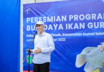 Perkuat Ketahanan Pangan, Pertagas Hadirkan Program Budidaya Ikan Gurami di Dumai
