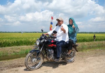 Panen Raya di Sabak Auh Bupati Alfedri Sebut ini Berkat Kerja Keras Para Petani