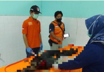 Penemuan Tengkorak Kepala Tergantung di Pohon Tim Inafis Polres Muara Enim Lakukan Olah TKP