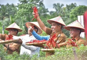 Pj Bupati Kampar Apresiasi Demplot Digitas Farming Telah diterapkan di Kampar