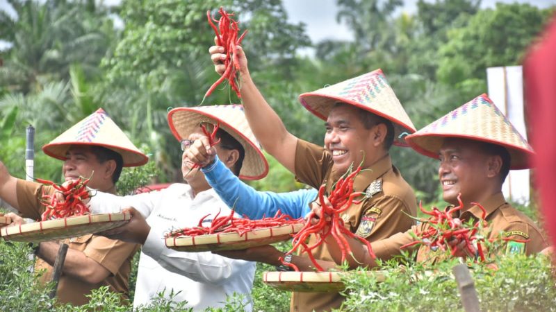 Pj Bupati Kampar Apresiasi Demplot Digitas Farming Telah diterapkan di Kampar