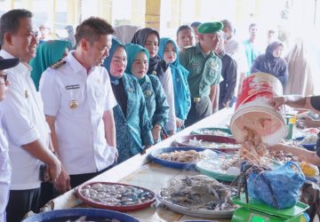 Cek Harga dan Ketersediaan Sembako, Bupati Rohil Bersama Forkopimda Kunjungi Pasar Datuk Rubiah