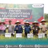 Panen Raya Nusantara 1 Juta Ha, Asisten 2 : Jadikan Rohul Daerah Penghasil Komoditi Beras Terbesar di Riau