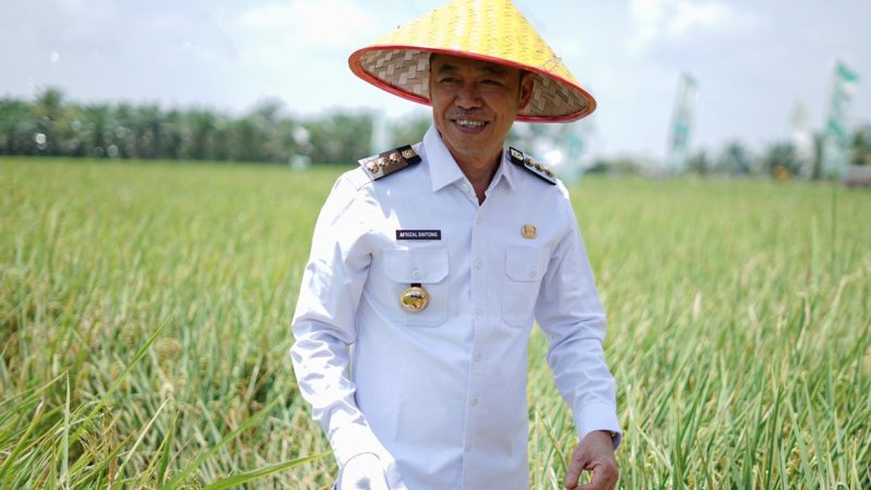 Bersama Gurbenur Syamsuar, Bupati Rohil Panen Raya Padi Nusantara 1 Juta Hektar di Rimba Melintang