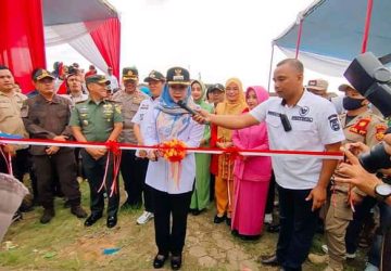 Ulang Tahun Kabupaten Tanggamus ke-26, Dimeriahkan Dengan Karnaval