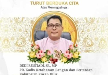 Pemkab Rohil Berduka, Plt Kadis Pertanian Tutup Usia
