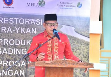 Anggota DPRD Bengkalis Apresiasi Kegiatan Restorasi Mangrove untuk Kelestarian Lingkungan