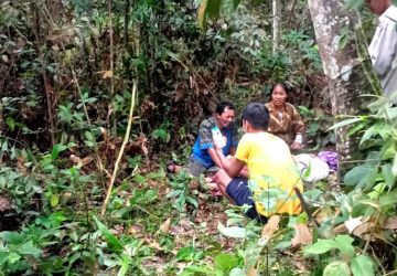 Petani Karet di Desa Suka Jaya Kecamatan Bayung Lincir Tewas di Lilit Ular