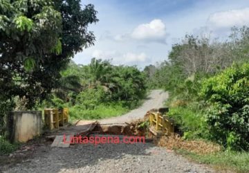 Jembatan Desa Bangun Sari Akses Jalan Kecamatan Gunung Megang dan Muara Enim Ambruk