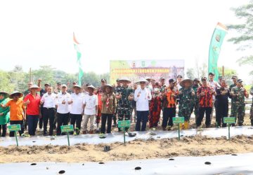 Hadiri Launching Penanaman Labu Madu, Bupati Bengkalis Berikan Apresiasi Buat Korem 031/WB dan Kodim 0303/BKS