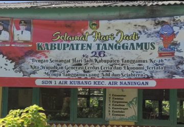 SD Negeri 1 Air Kubang Patut Mendapat Apresiasi