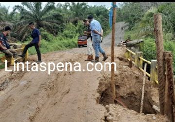 Cepat Tanggap PT. MHP Perbaikan Jembatan Amblas di Desa Bangun Sari Kecamatan Gunung Megang
