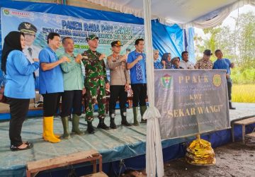 Plt Bupati Kaffah Launching Program Kerakyatan PPAUK di 22 Kecamatan dan Panen Raya Padi IP 200