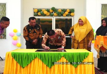 Bupati Rohil Afrizal Sintong, Resmikan UPT Instalasi Farmasi Diskes