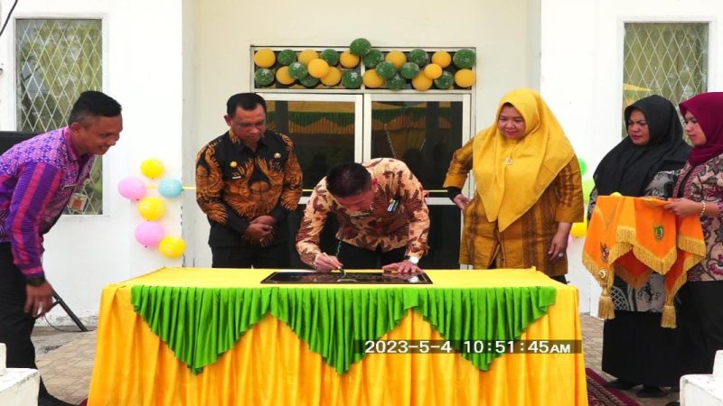 Bupati Rohil Afrizal Sintong, Resmikan UPT Instalasi Farmasi Diskes