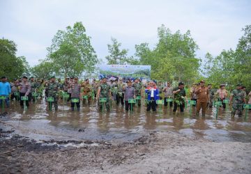 Secara Virtual Bupati Bengkalis Hadiri Kegiatan Penanaman Mangrove Nasional