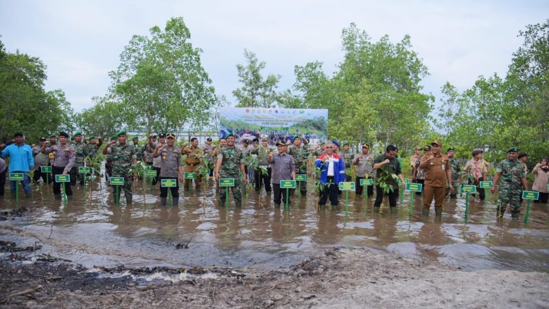 Secara Virtual Bupati Bengkalis Hadiri Kegiatan Penanaman Mangrove Nasional