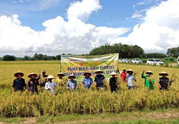 Dukungan PT Bukit Asam Tbk Untuk Wujudkan Pertanian Ramah Lingkungan