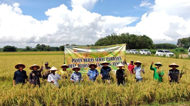 Dukungan PT Bukit Asam Tbk Untuk Wujudkan Pertanian Ramah Lingkungan
