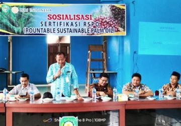 2025, Perusahaan dan Kebun Sawit Wajib Miliki Sertifikat ISPO