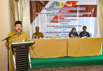 Maksimalkan Kelistrikan dan Energi, Pemkab Bengkalis Lakukan Kesepakatan Bersama PLN