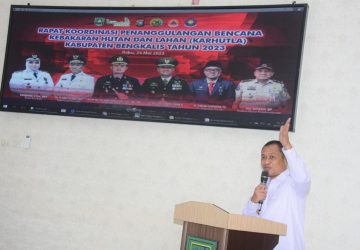Wabup Bengkalis Berharap Rakor Karhutla Lahirnya Solusi Terbaik, Terhadap Penanganan Karhutla di Kabupaten Bengkalis
