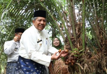 Mukadi Tak Nyangka Kebun Salaknya di Kunjungi Bupati Siak